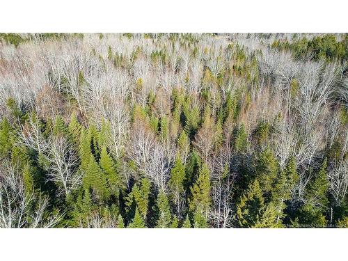 98-1 Mast Rd, Three Tree Creek, NB 