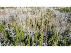 98-1 Mast RD  Three Tree Creek, NB E5L 2W1