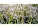 98-1 Mast Rd, Three Tree Creek, NB 