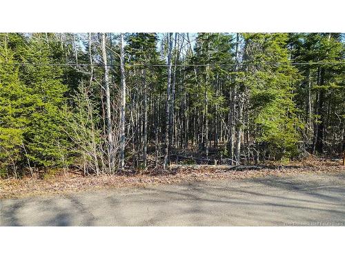 98-1 Mast Rd, Three Tree Creek, NB 