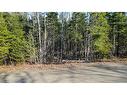 98-1 Mast Rd, Three Tree Creek, NB 