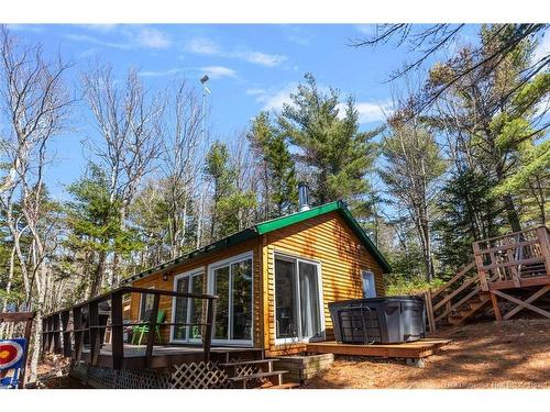 45 Gesner Lane, Mckees Mills, NB 