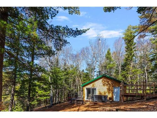 45 Gesner Lane, Mckees Mills, NB 