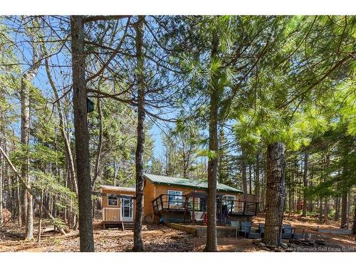 45 Gesner Lane, Mckees Mills, NB 