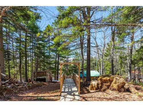 45 Gesner Lane, Mckees Mills, NB 