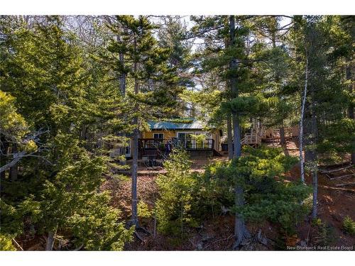 45 Gesner Lane, Mckees Mills, NB 
