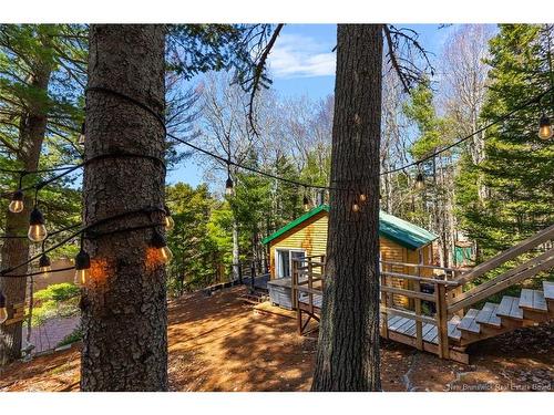 45 Gesner Lane, Mckees Mills, NB 