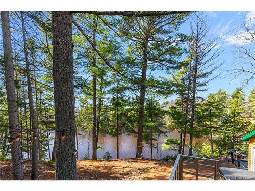 45 Gesner Lane, Mckees Mills, NB 
