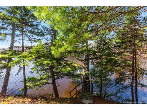 45 Gesner Lane, Mckees Mills, NB 