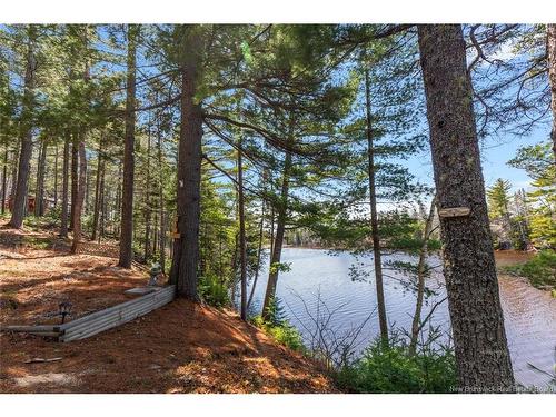 45 Gesner Lane, Mckees Mills, NB 