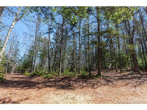 45 Gesner Lane, Mckees Mills, NB 