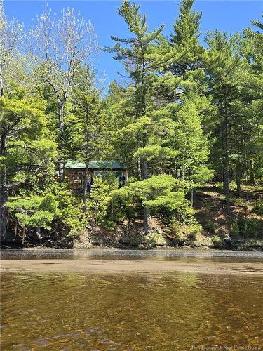 45 Gesner Lane, Mckees Mills, NB 