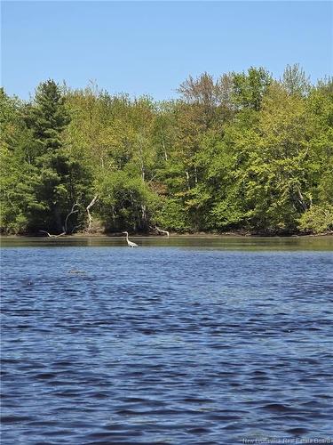45 Gesner Lane, Mckees Mills, NB 