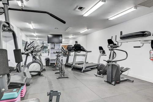 Exercise Room - 505-5350 Av. Macdonald, Côte-Saint-Luc, QC - Indoor Photo Showing Gym Room