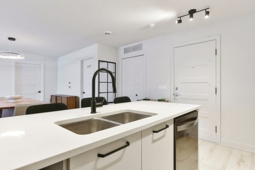 Cuisine - 208-10075 Rue De L'Épervier, Mirabel, QC - Indoor Photo Showing Kitchen With Double Sink