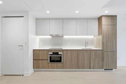 Kitchen - 311-1518 Rue Sherbrooke O., Montréal (Ville-Marie), QC - Indoor Photo Showing Kitchen