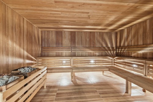 Sauna - 311-1518 Rue Sherbrooke O., Montréal (Ville-Marie), QC - Indoor Photo Showing Other Room