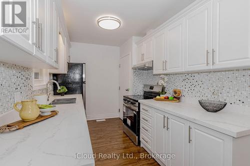 28 Hoffman Street, Kitchener, ON - Indoor Photo Showing Kitchen With Double Sink