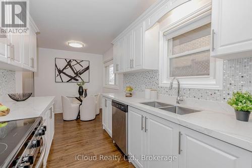 28 Hoffman Street, Kitchener, ON - Indoor Photo Showing Kitchen With Double Sink With Upgraded Kitchen