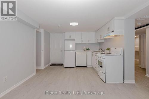 28 Hoffman Street, Kitchener, ON - Indoor Photo Showing Kitchen