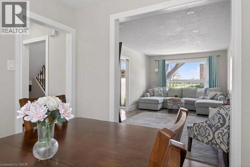 62 Palmer Road, Hamilton, ON - Indoor Photo Showing Living Room