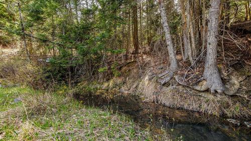 4484 3 Highway, Arrow Creek, BC - Outdoor With View