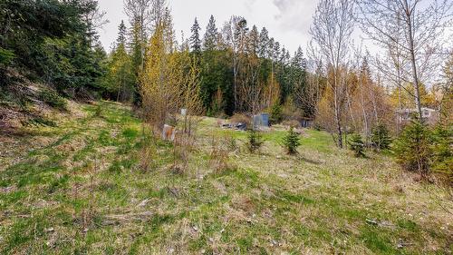 4484 3 Highway, Arrow Creek, BC - Outdoor With View