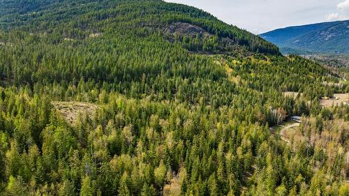 4484 3 Highway, Arrow Creek, BC - Outdoor With View