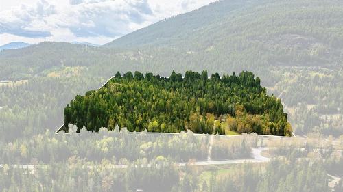 4484 3 Highway, Arrow Creek, BC - Outdoor With View