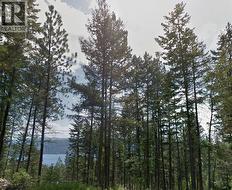 9505 Keithley Road Lot# 143 Vernon, BC V1H 2E5