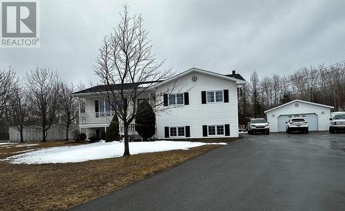 51 Snow Crescent  Grand Falls-Windsor, NL A2B 1C7