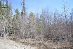 00 BEHM LINE Whitewater Region, ON K0J 1K0