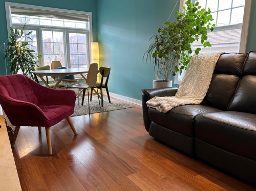 Salon - 286 6E Avenue, Montréal (Lasalle), QC - Indoor Photo Showing Living Room