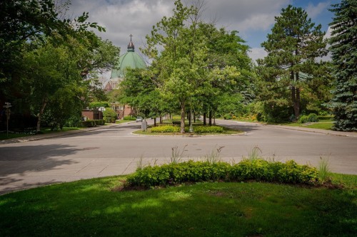 Rue - 21 Surrey Gdns, Westmount, QC - Outdoor With View