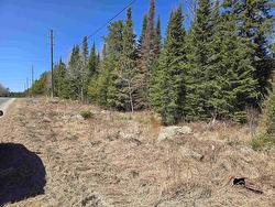 00 Jones Road Kenora, ON P9N 3W8