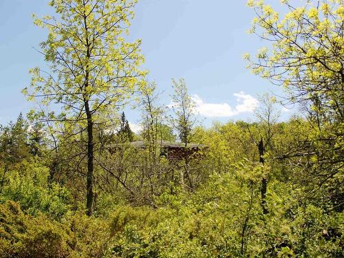 499 Aksel Rd, Rainy River, ON 