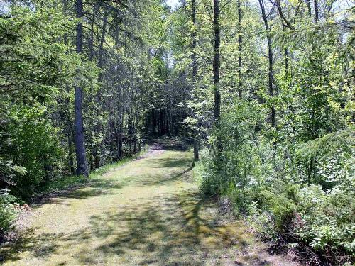 499 Aksel Rd, Rainy River, ON 