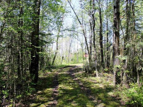 499 Aksel Rd, Rainy River, ON 