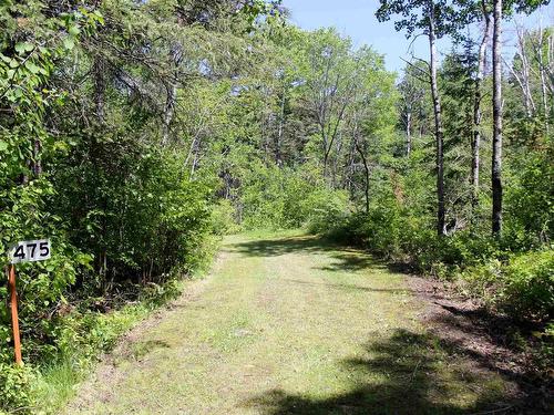 499 Aksel Rd, Rainy River, ON 