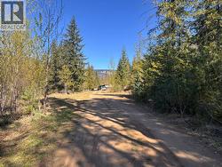 4095 Meadow Creek Road Celista, BC V0E 1M6