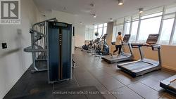 Gym - 