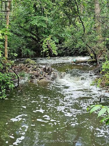 4170 Treetop Crescent, Mississauga, ON - Outdoor With Body Of Water
