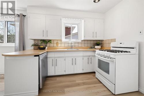 91 Wilfred Avenue, Kitchener, ON - Indoor Photo Showing Kitchen With Double Sink