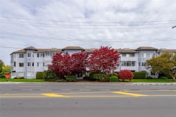 315-3931 Shelbourne St Saanich, BC V8P 4H9