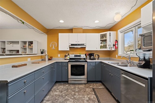 6419 Wicks Rd, Duncan, BC - Indoor Photo Showing Kitchen With Double Sink