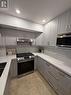 123 - 3 Everson Drive, Toronto, ON  - Indoor Photo Showing Kitchen With Double Sink With Upgraded Kitchen 