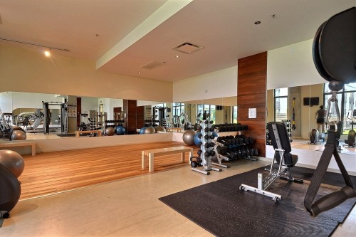 Salle d'exercice - 229-111 Ch. De La Pointe-Nord, Montréal (Verdun/Île-Des-Soeurs), QC - Indoor Photo Showing Gym Room