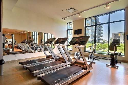 Salle d'exercice - 229-111 Ch. De La Pointe-Nord, Montréal (Verdun/Île-Des-Soeurs), QC - Indoor Photo Showing Gym Room