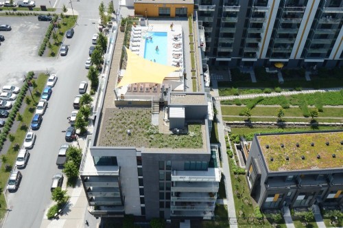 Piscine - 229-111 Ch. De La Pointe-Nord, Montréal (Verdun/Île-Des-Soeurs), QC - Outdoor