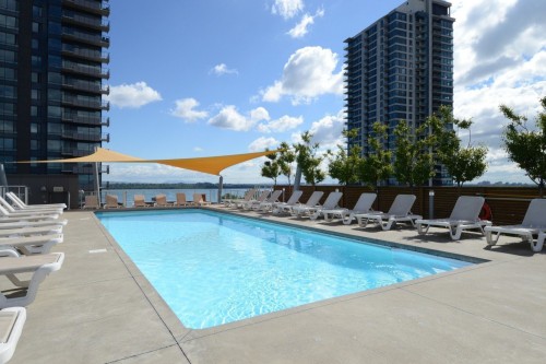 Piscine - 229-111 Ch. De La Pointe-Nord, Montréal (Verdun/Île-Des-Soeurs), QC - Outdoor With In Ground Pool